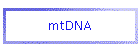 mtDNA