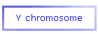 Y chromosome